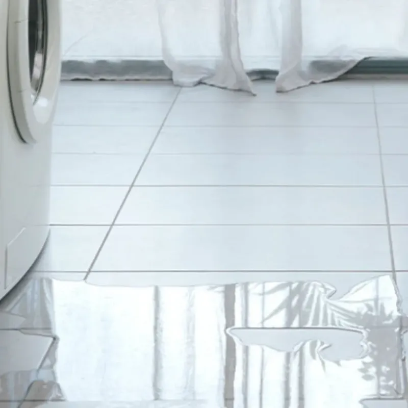 Appliance Leak Cleanup in Raytown, MO