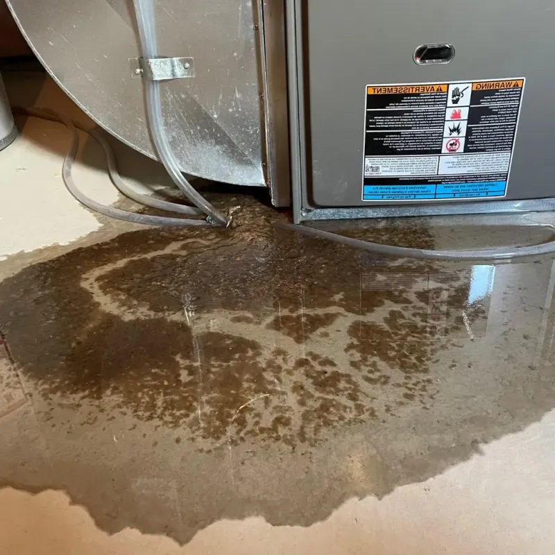 Pipe Burst and Leak Restoration in Raytown, MO